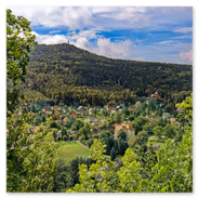Blick zum Hochwald 