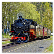 Schmalspurbahn im Bahnhof Oybin