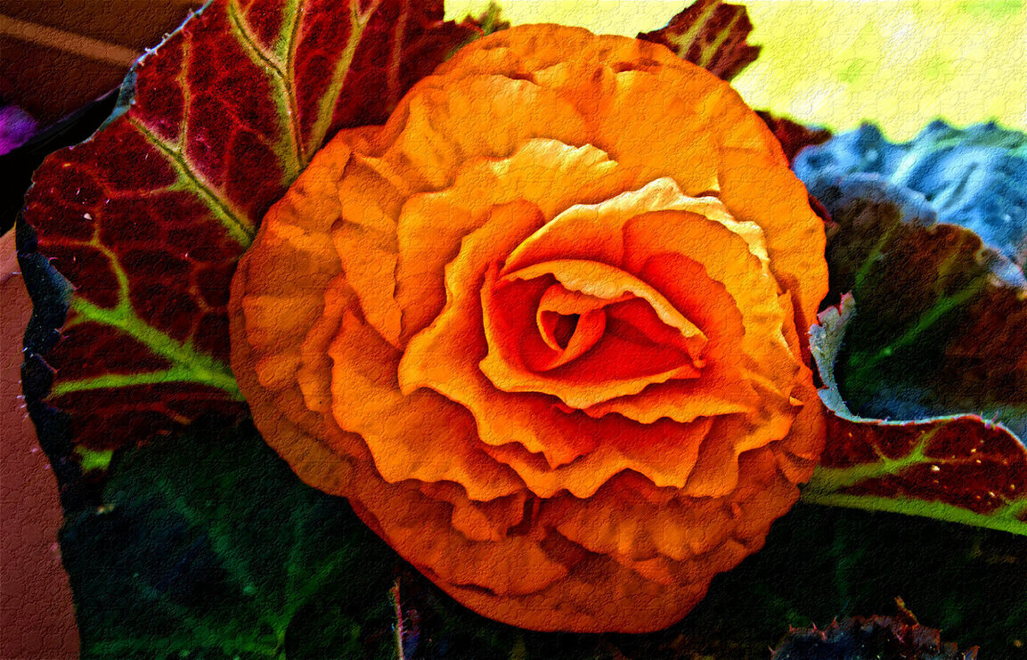 ohne bestimmte Kategorie