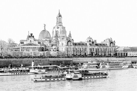Flottenparade der Sächsischen Dampfschifffahrt in Dresden